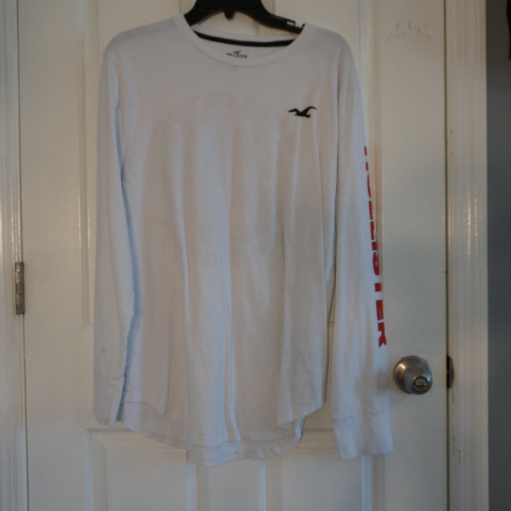 🌺🌼LAST ATTEMPT BEFORE GOODWILL-Hollsiter grpahic long sleeve🌺🌼